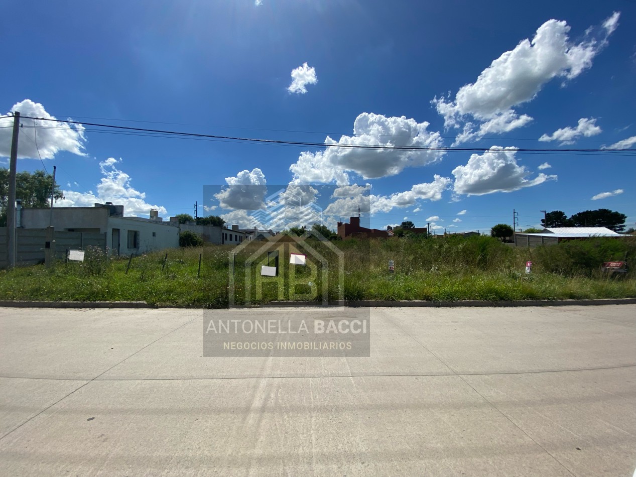 Lote Neuquen