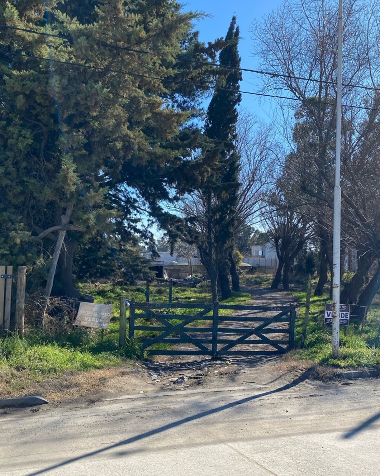 Lote Actis