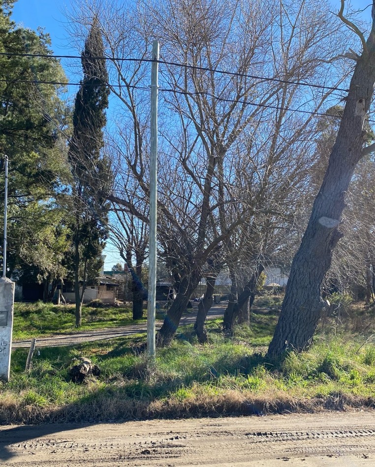 Lote Actis