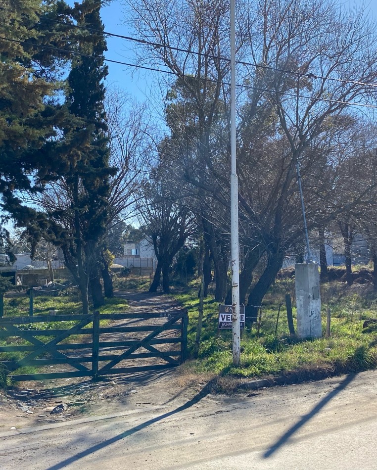 Lote Actis