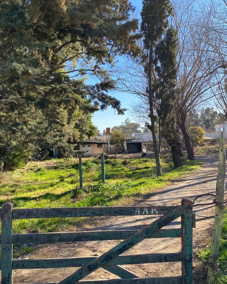 Lote Actis