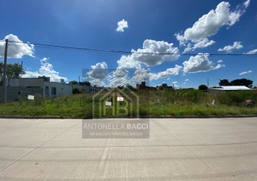 Lote Neuquen 