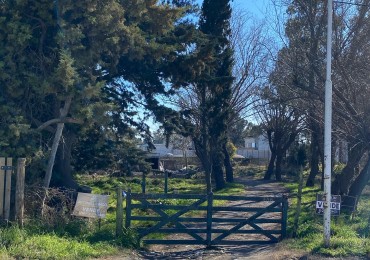 Lote Actis